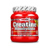 Amix Creatine Monohydrate 300 г 001919 фото