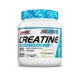 Amix Performance Creatine Creapure 300 г 1924 фото